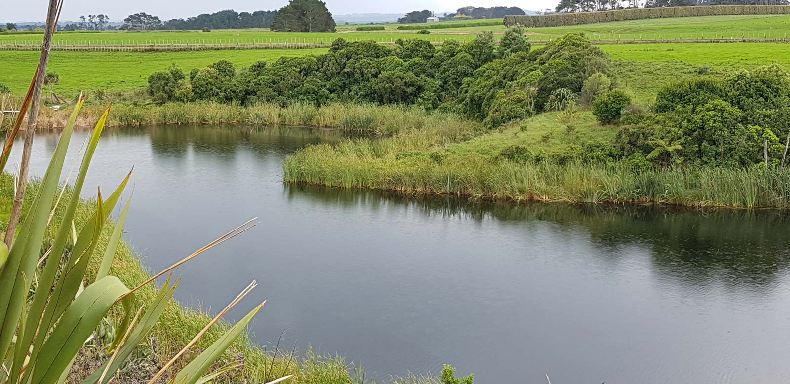 paetaia03 lakepaetaia